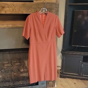NWT Ann Taylor Dress - Petite 6